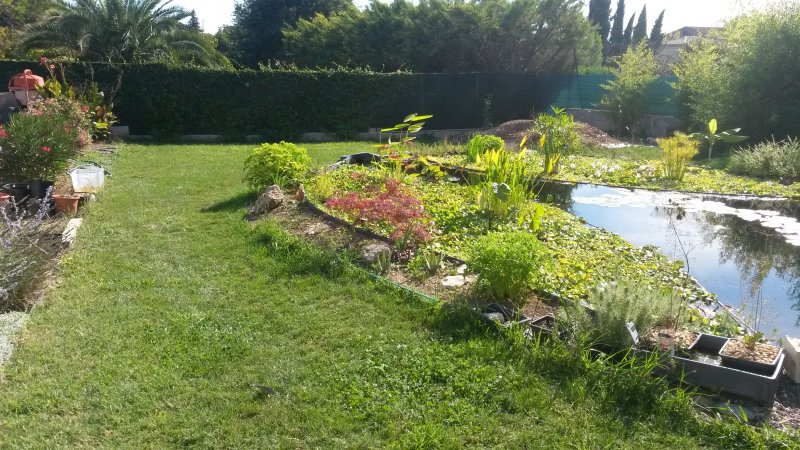 Devis jardinier paysagiste Montpellier