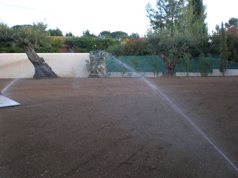 Jardin avec économie d’eau